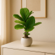 Artificial Plant